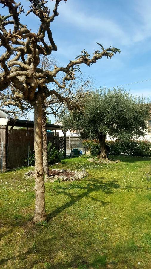 Villa Bracci Molinaccio Buitenkant foto